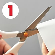 Carregar imagem no visualizador da galeria, 5 pçs arranhador de gato