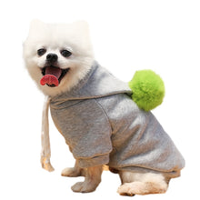 Carregar imagem no visualizador da galeria, Roupas de inverno Jaqueta de fantasia para cachorros de estimação