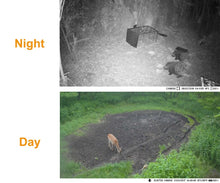 Carregar imagem no visualizador da galeria, Câmera de trilha para animais selvagens, Armadilha de fotos Câmeras de caça