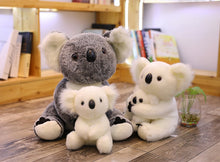 Carregar imagem no visualizador da galeria, Brinquedo de pelúcia super fofo de koala bear Baby