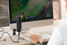 Carregar imagem no visualizador da galeria, Microfone Profissional Mic com Shock Mount
