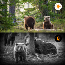 Carregar imagem no visualizador da galeria, Câmera de trilha para animais selvagens, Armadilha de fotos Câmeras de caça
