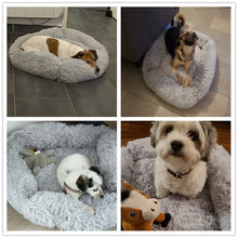 Carregar imagem no visualizador da galeria, Camas quadradas para cachorros longas de pelúcia de cores sólidas
